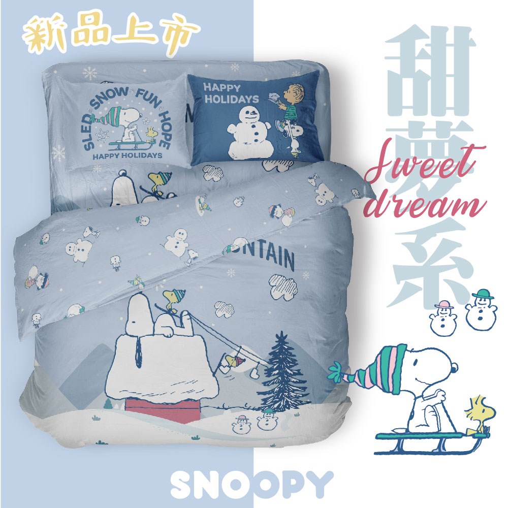 SN139雪屋
