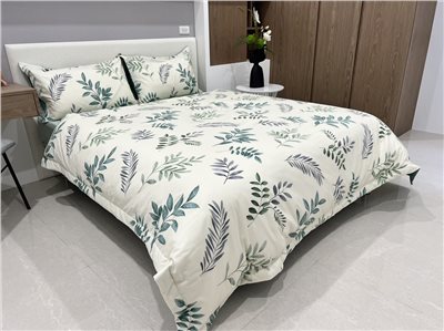40支棉 新葉之戀